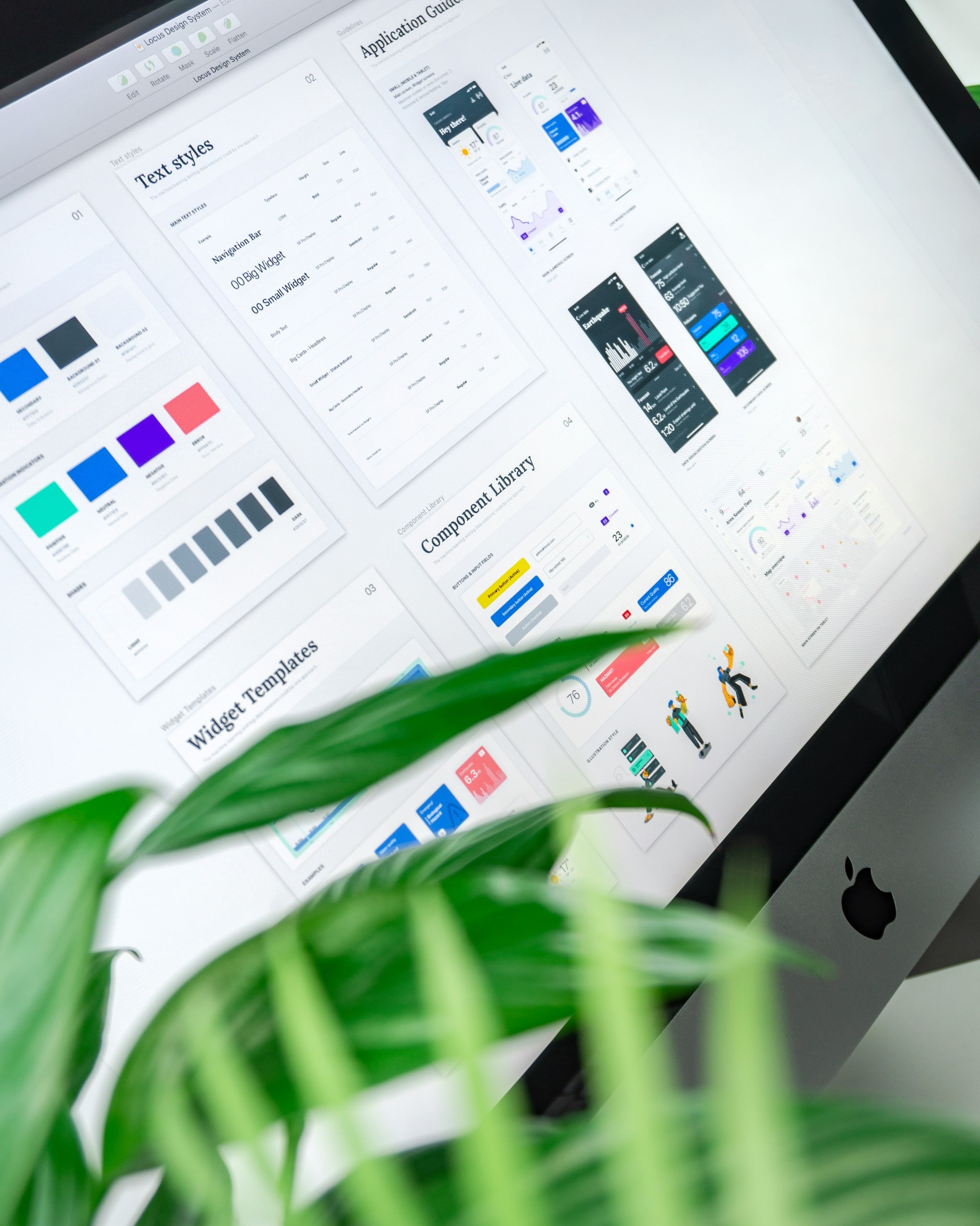 Concept & Design